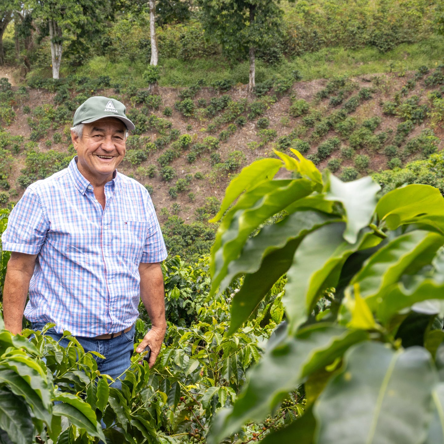 JAIRO ARCILA