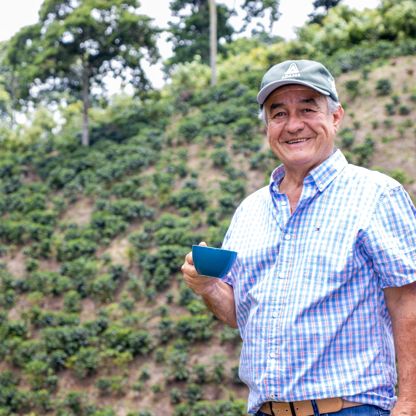 JAIRO ARCILA