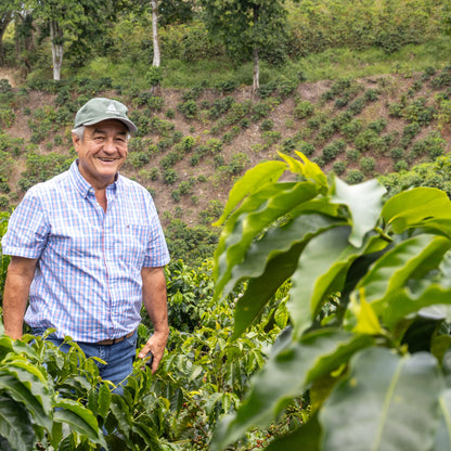 JAIRO ARCILA