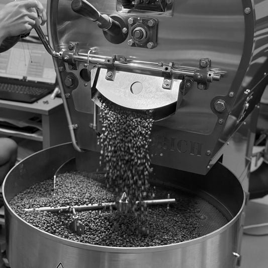 SCA ROASTING PROFESSIONAL| RESERVA CURSO |
