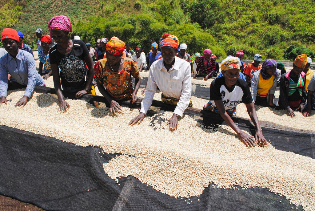 RWAMATAMU PEABERRY