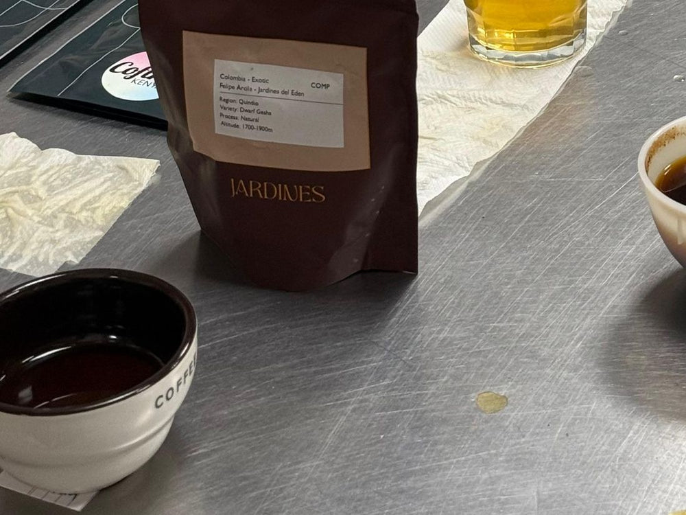 Bolsa de café y taza de cata