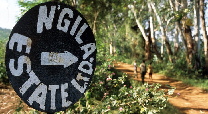 Ngila Estate, Tanzania - cartel de entrada de la finca